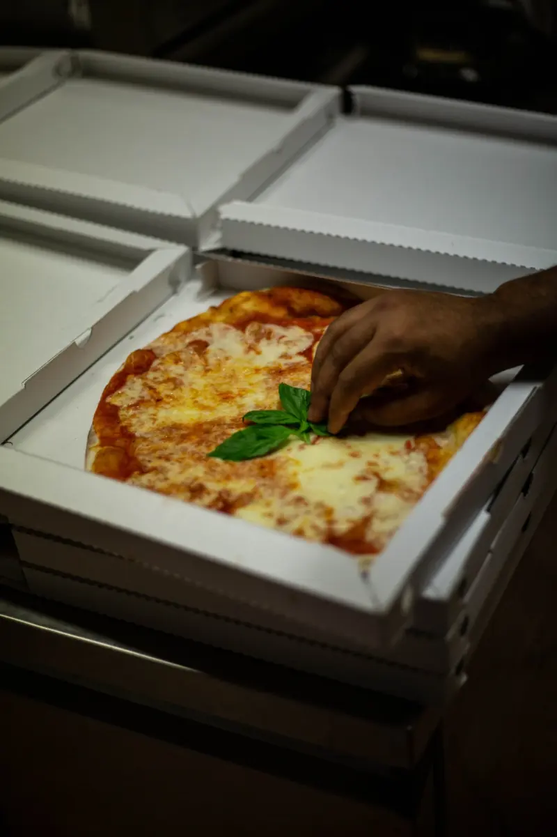 Una margherita chiusa nella scatola, con il basilico aggiunto all’ultimo
